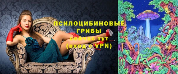 ПСИЛОЦИБИНОВЫЕ ГРИБЫ Алзамай